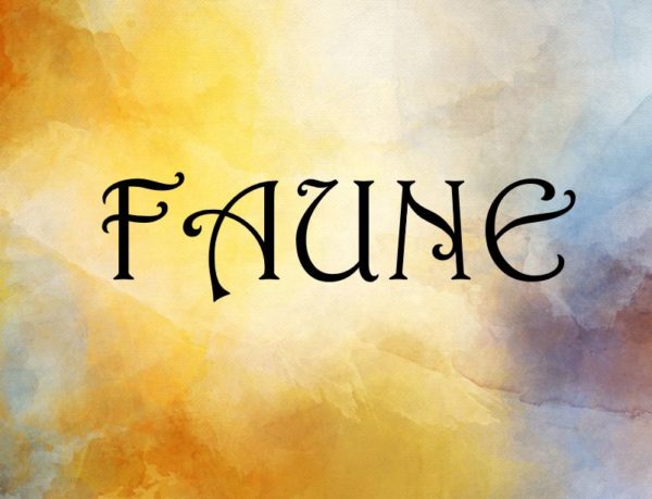 Faune