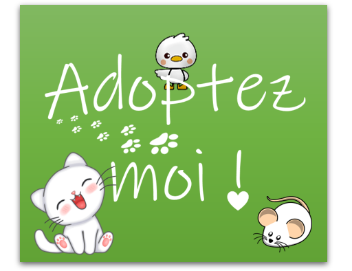 Adoptez-moi ! (attaches-portables)