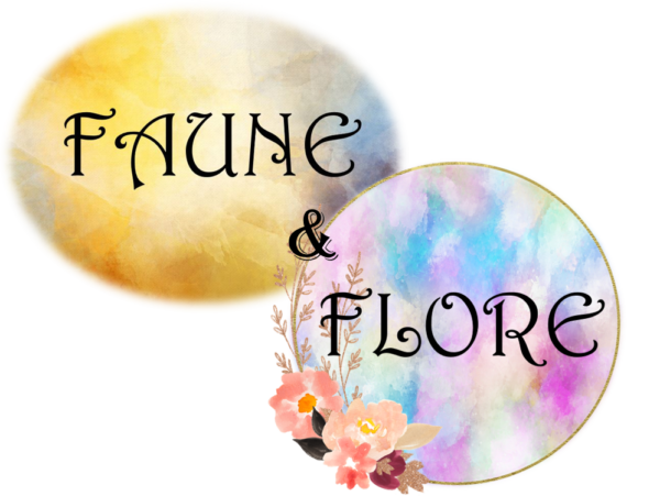 Collection Faune et Flore